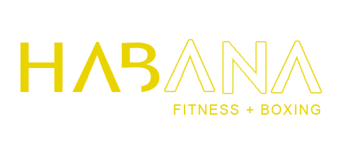 logo habana fitness